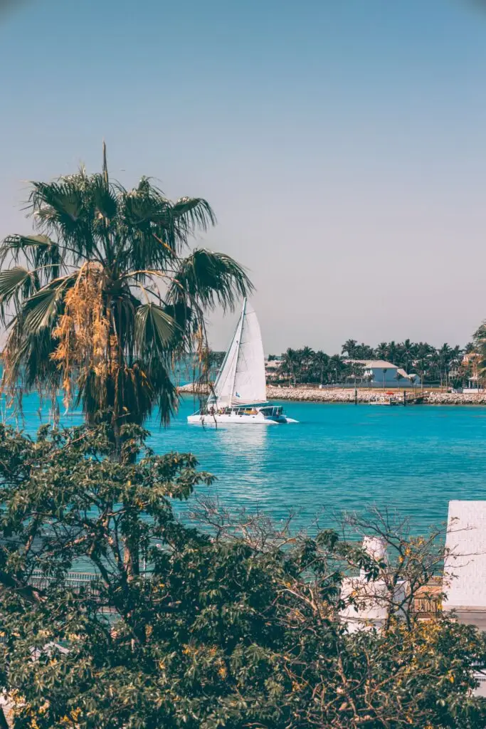 Sailboat drifting on turquoise water near palm trees in Key West Florida