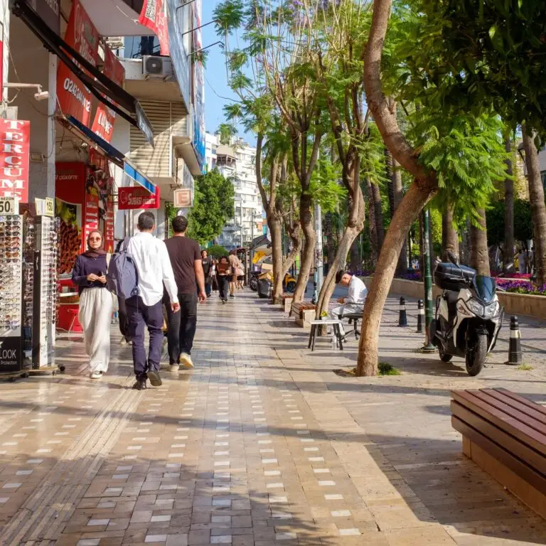 Outdoor shopping street with boutiques and trees