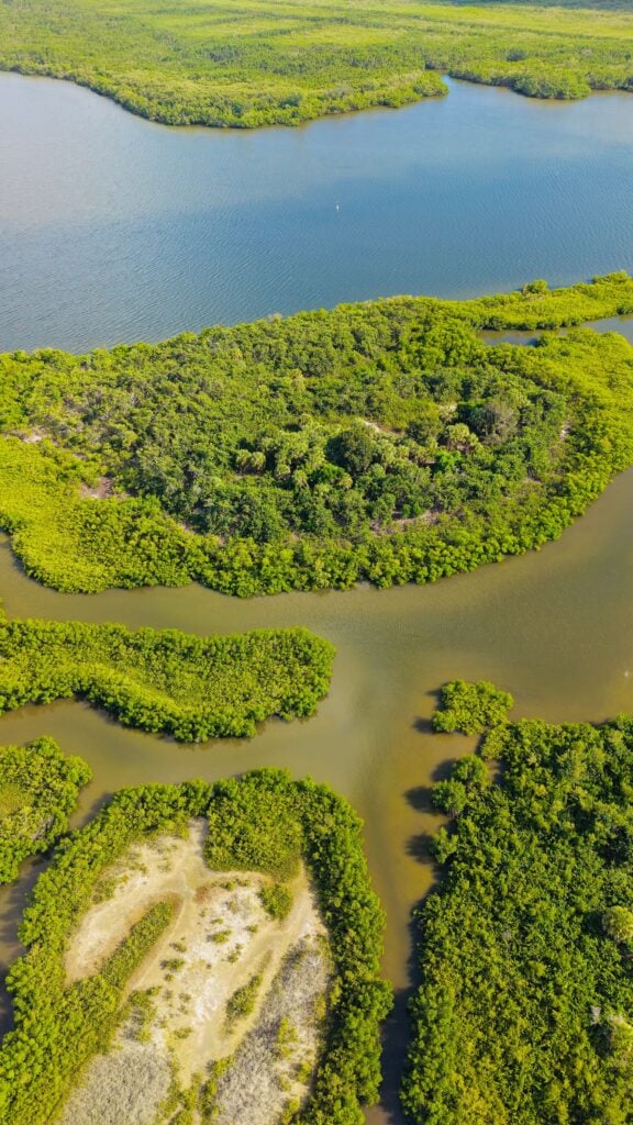 Aerial view of the Estero Bay mangrove estuary in Southwest Florida